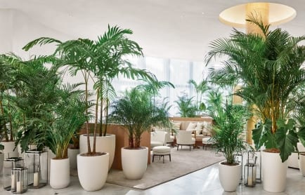 96236820-h1-miaeb-lobby-0017-hor-clsc