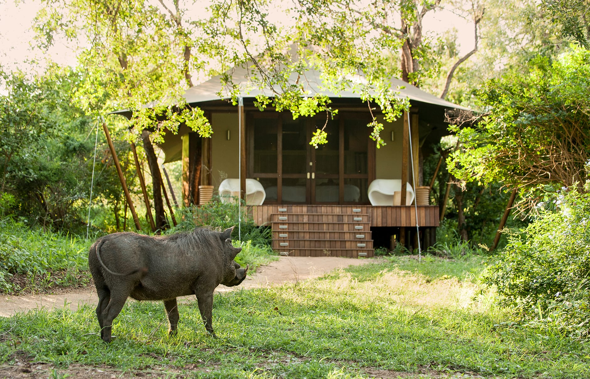 &Beyond Ngala Tented Camp, Kruger National Park, South Africa. Review by TravelPlusStyle. Photo © &Beyond
