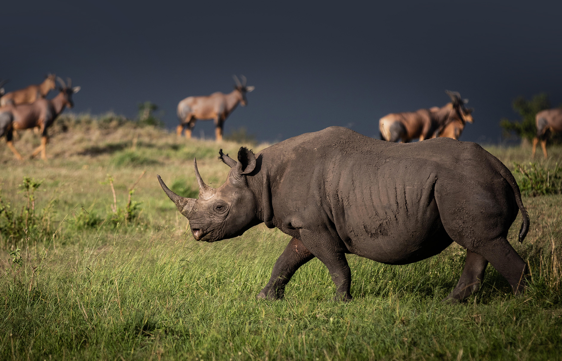 Nomad Lamai, Serengeti, Tanzania • TravelPlusStyle.com