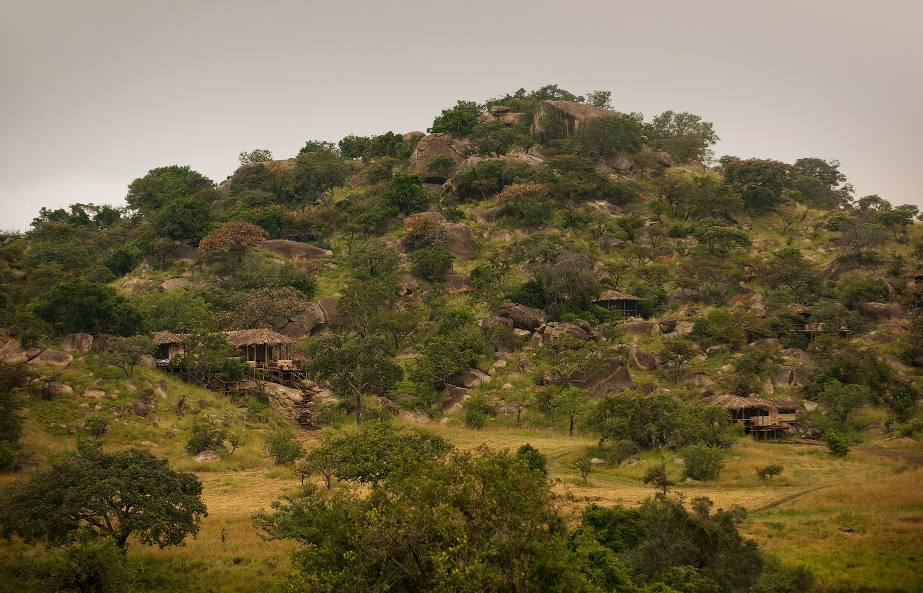 Nomad Lamai, Serengeti, Tanzania • TravelPlusStyle.com