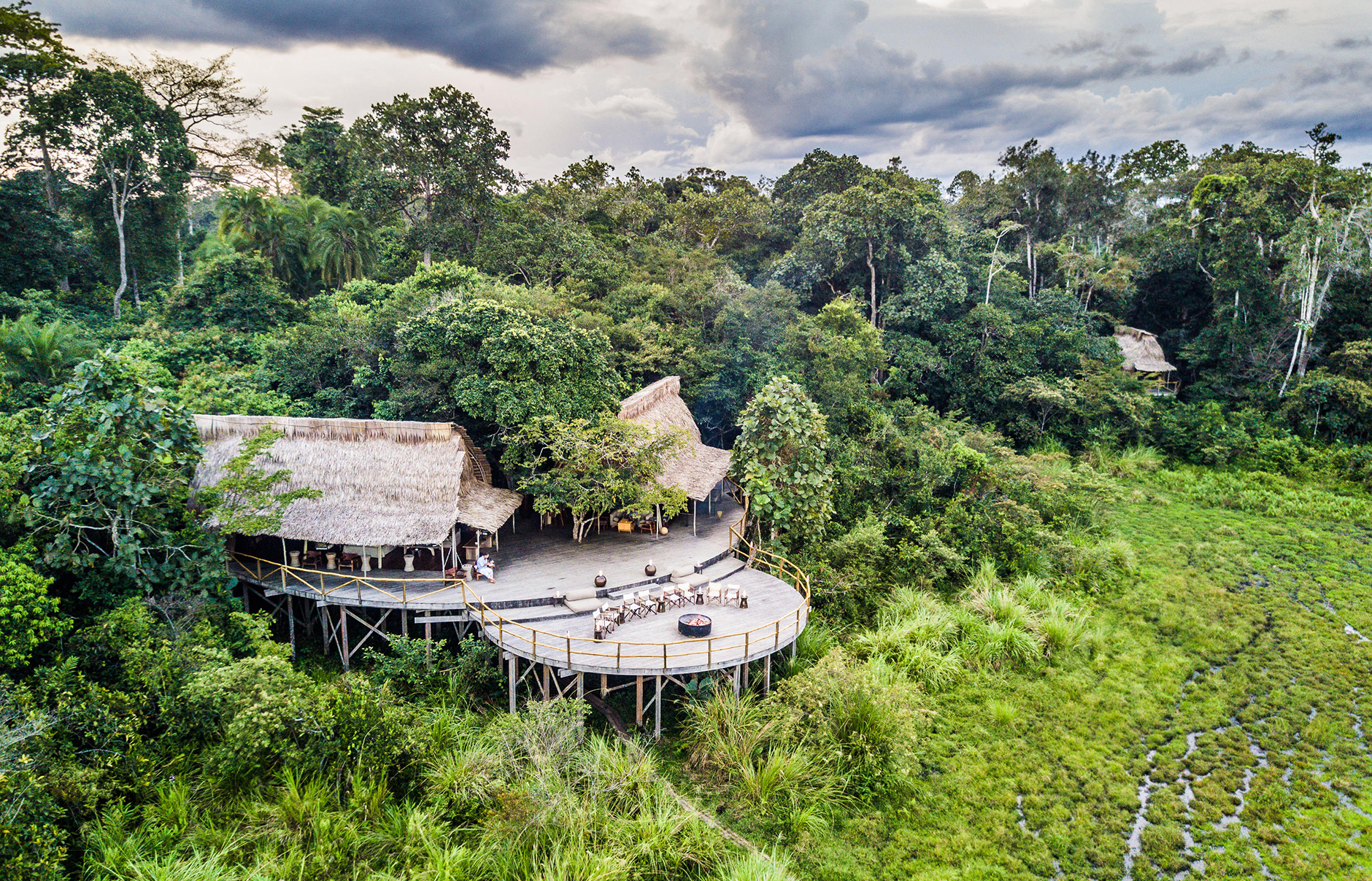 Gorilla Tracking in Congo Basin with Kamba Camps • TravelPlusStyle.com