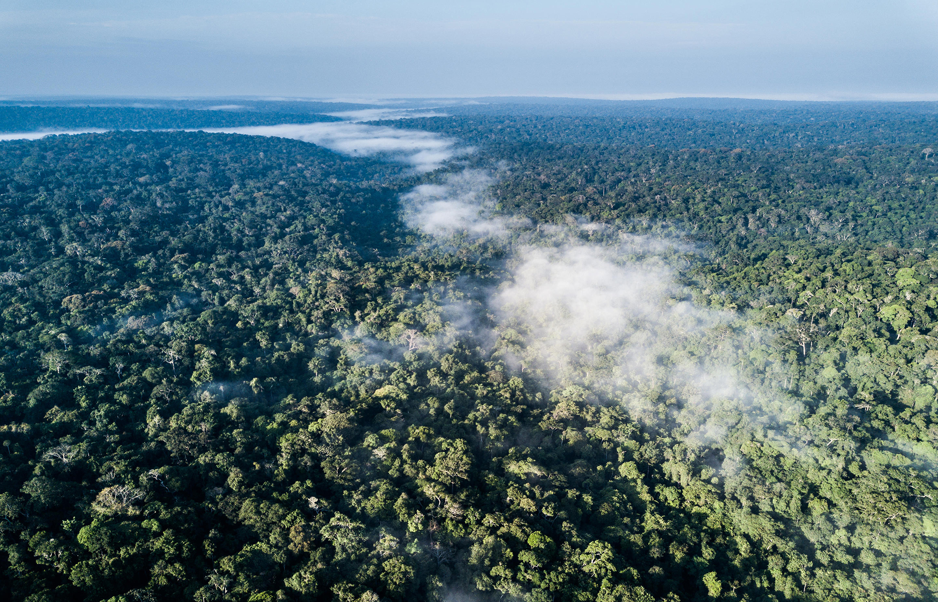 Gorilla Tracking in Congo Basin with Kamba Camps • TravelPlusStyle.com