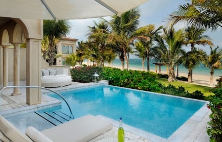 one_only_the_palm_palm_