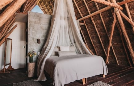 papaya-playa-clov-r-r2