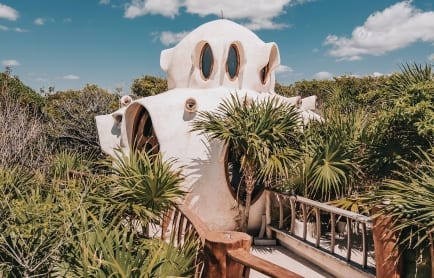 papaya-playa-treeh-r-r2