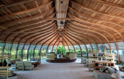 MLDPH_P225 The Dhoni