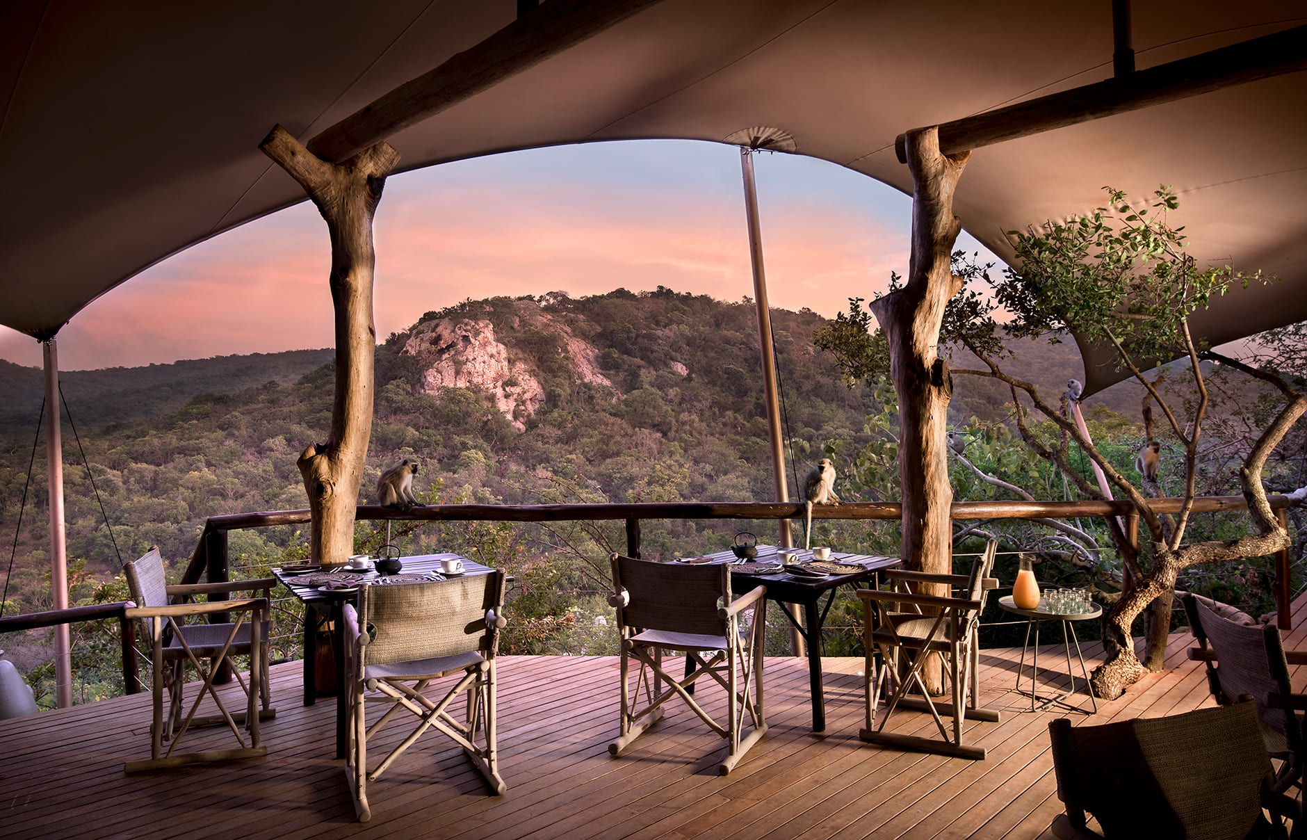 andBeyond Phinda Private Game Reserve, South Africa. Review by TravelPlusStyle. Photo © &Beyond 