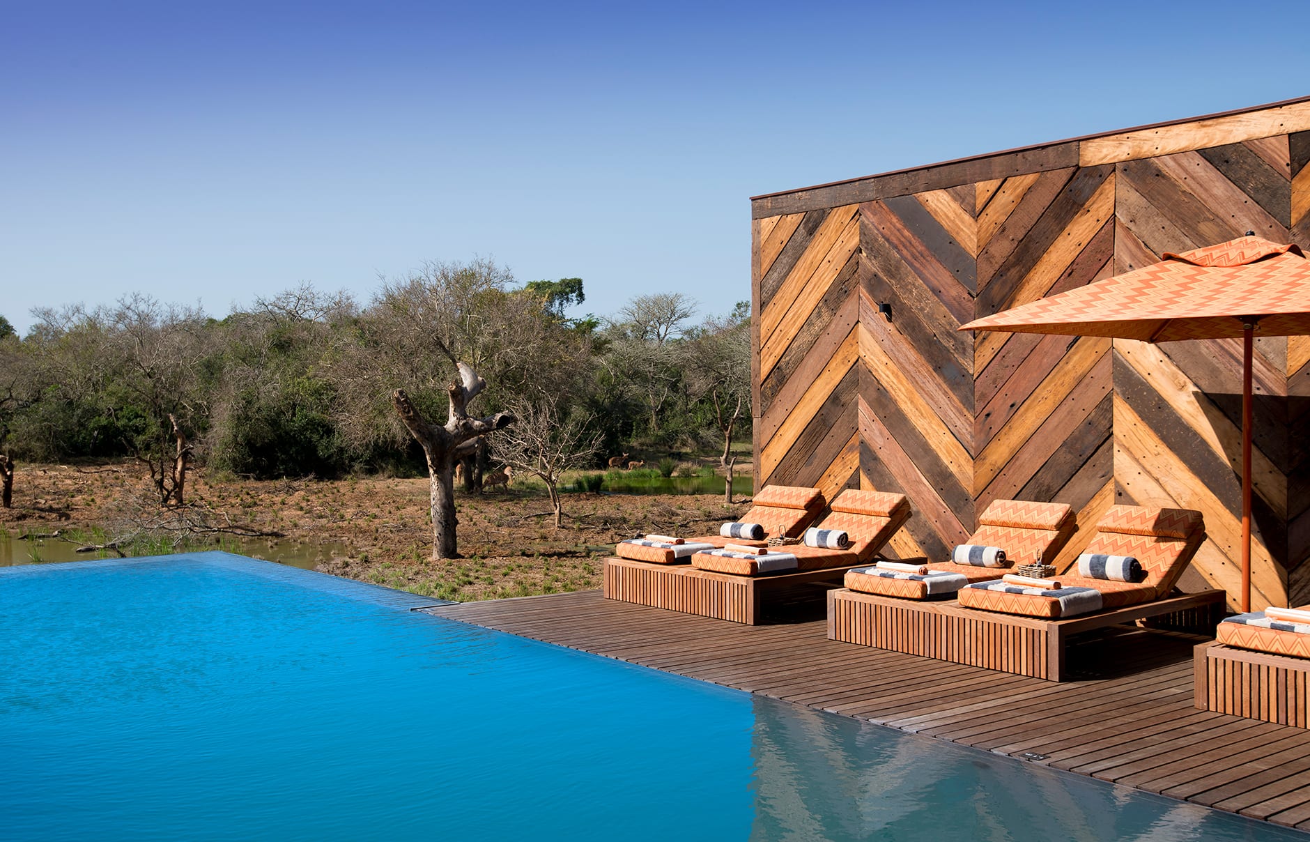 andBeyond Phinda Private Game Reserve, South Africa. Review by TravelPlusStyle. Photo © &Beyond 