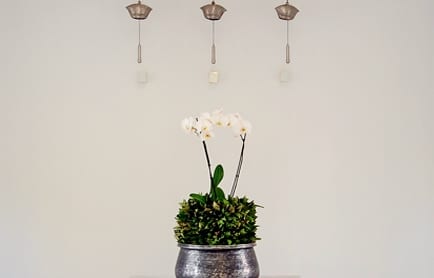 Amanruya, Bodrum, Turkey. travelplusstyle.com