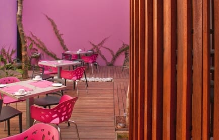 012-ds-rosasxocolate