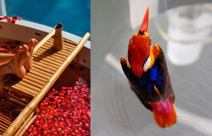 In our lens: Sala Phuket Resort and Spa. © Travel+Style