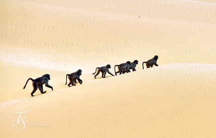 Serra Cafema, Kaokoland, Namibia. ©TravelPlusStyle.com