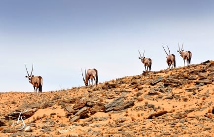 Serra Cafema, Kaokoland, Namibia. ©TravelPlusStyle.com