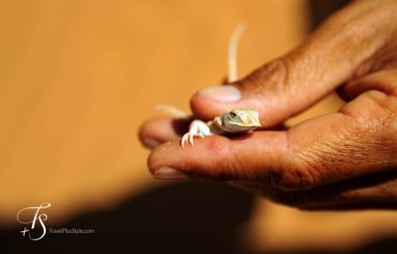 Serra Cafema, Kaokoland, Namibia. ©TravelPlusStyle.com