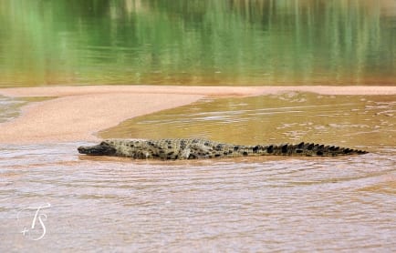 Serra Cafema, Kaokoland, Namibia. ©TravelPlusStyle.com