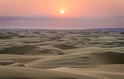 serra_cafema_2014-08-3e