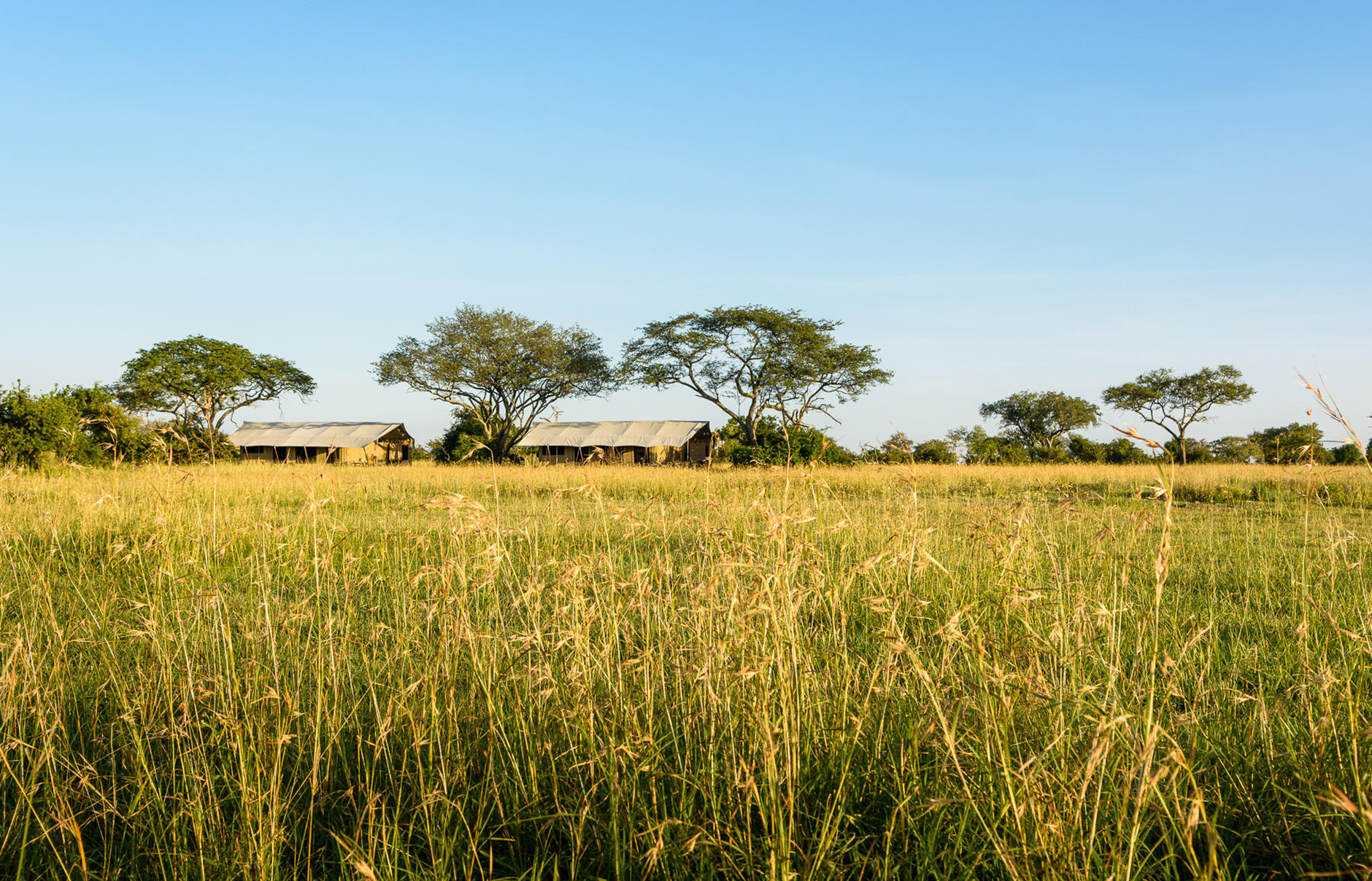 Singita Explore Mobile Tented Camp, Tanzania • TravelPlusStyle.com