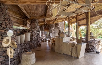 serengeti-grumeti-singita-faru-faru