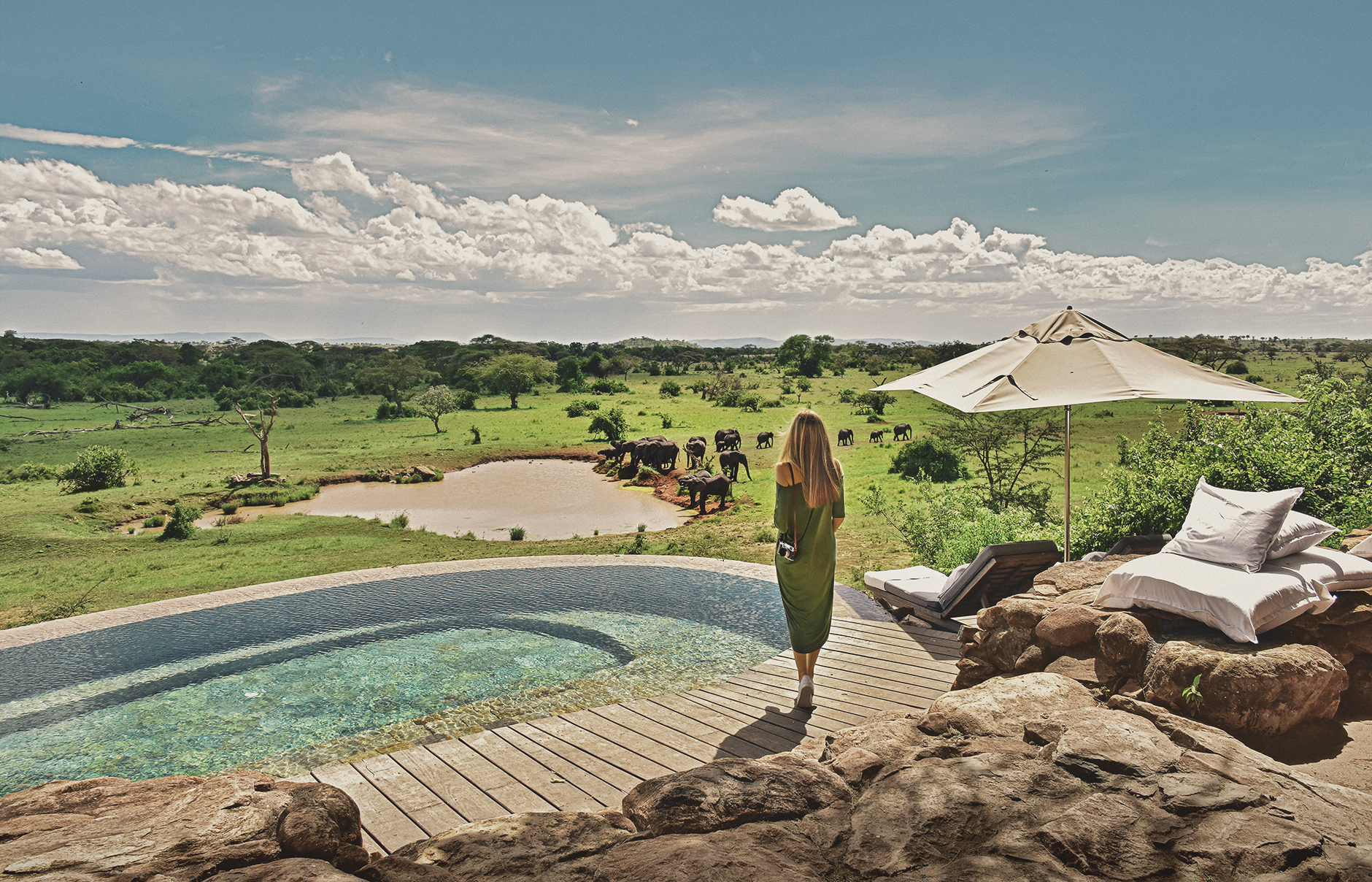 kzn_3559a