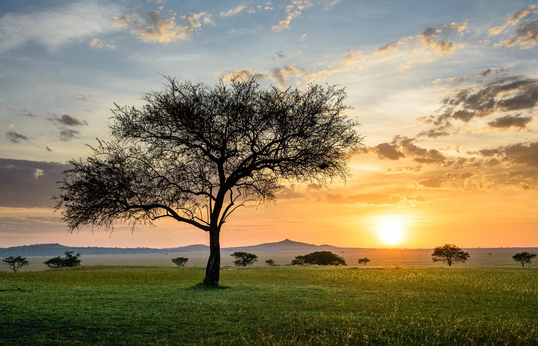 Singita Sabora Tented Camp - Grumeti Serengeti, Tanzania. Hotel Review by TravelPlusStyle. Photo © Singita