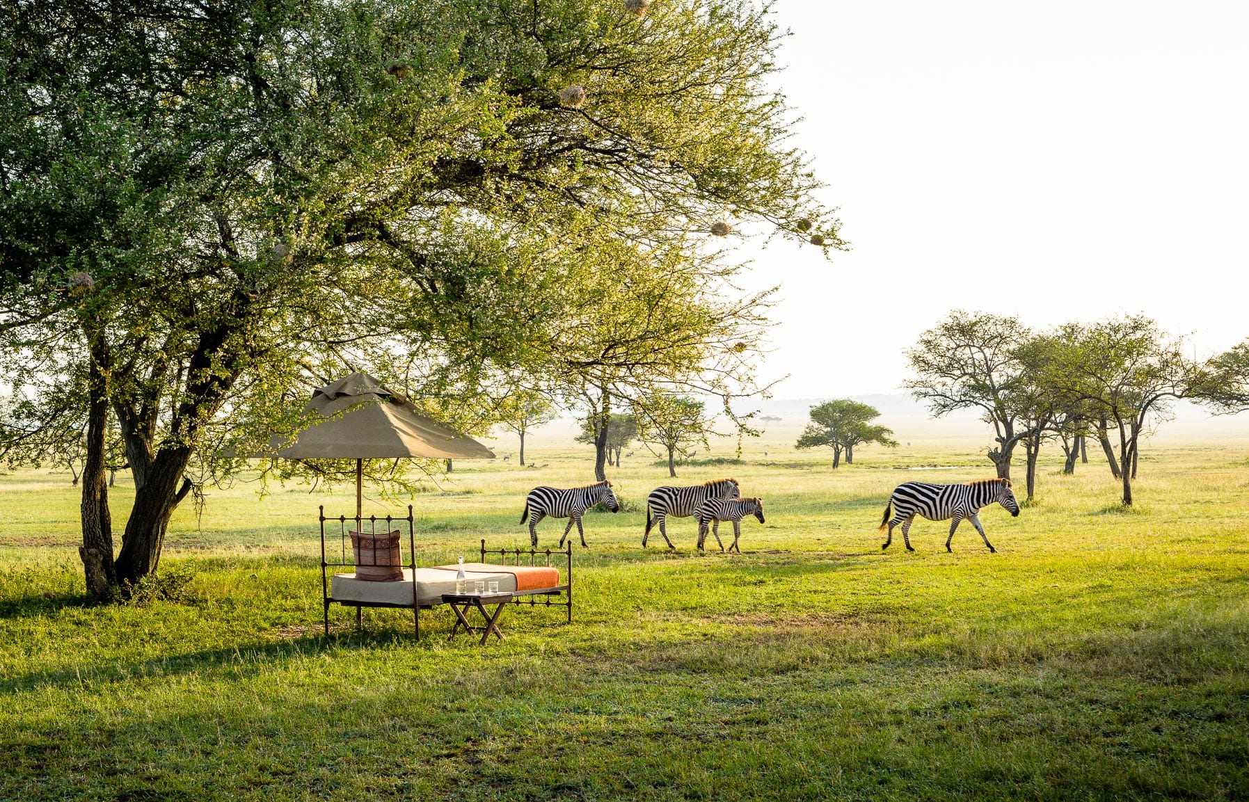 Singita Sabora Tented Camp - Grumeti Serengeti, Tanzania. Hotel Review by TravelPlusStyle. Photo © Singita