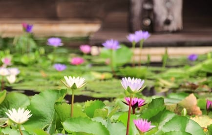 Six Senses Yao Noi, Thailand. © TravelPlusStyle.com