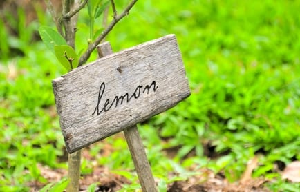 Six Senses Yao Noi, Thailand. © TravelPlusStyle.com