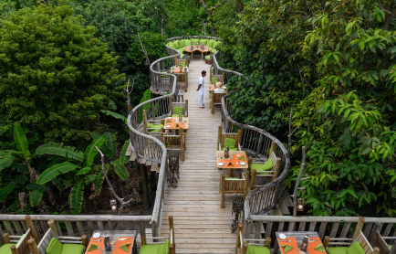 32462_soneva-fushi-fresh-in-the-garden