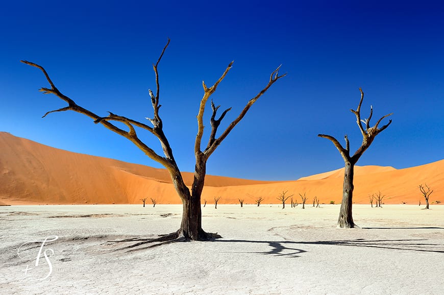 Sossusvlei, Namibia. TravelPlusStyle.com
