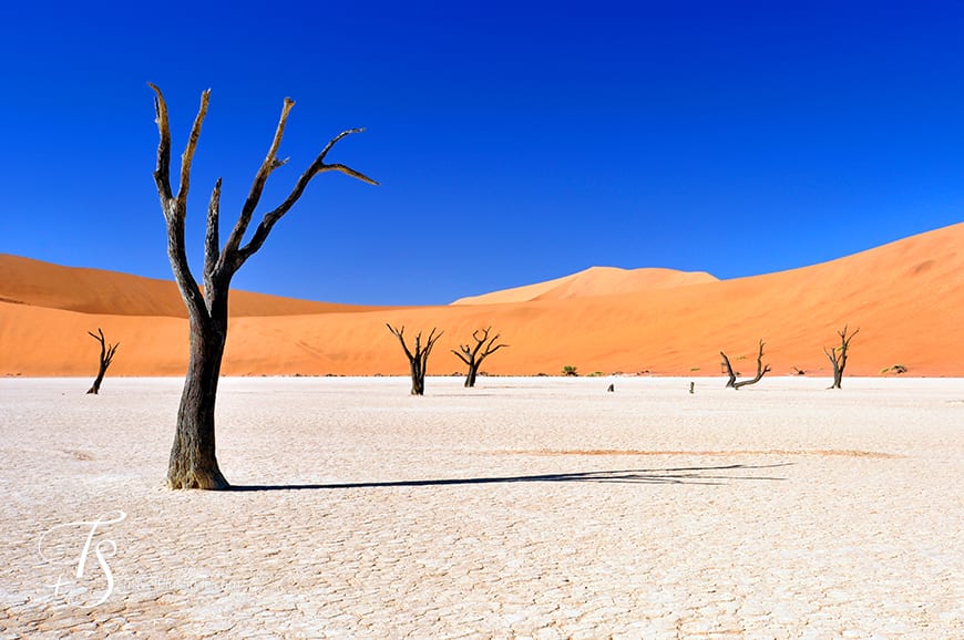 Sossusvlei, Namibia. TravelPlusStyle.com