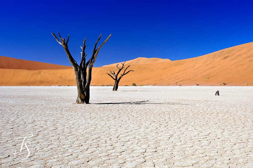 Sossusvlei, Namibia. TravelPlusStyle.com