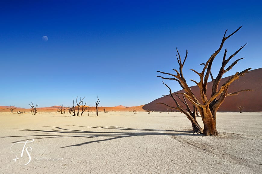 Sossusvlei, Namibia. TravelPlusStyle.com