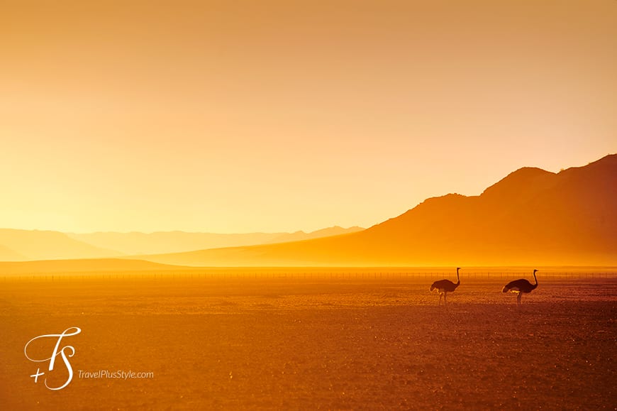 Sossusvlei, Namibia. TravelPlusStyle.com