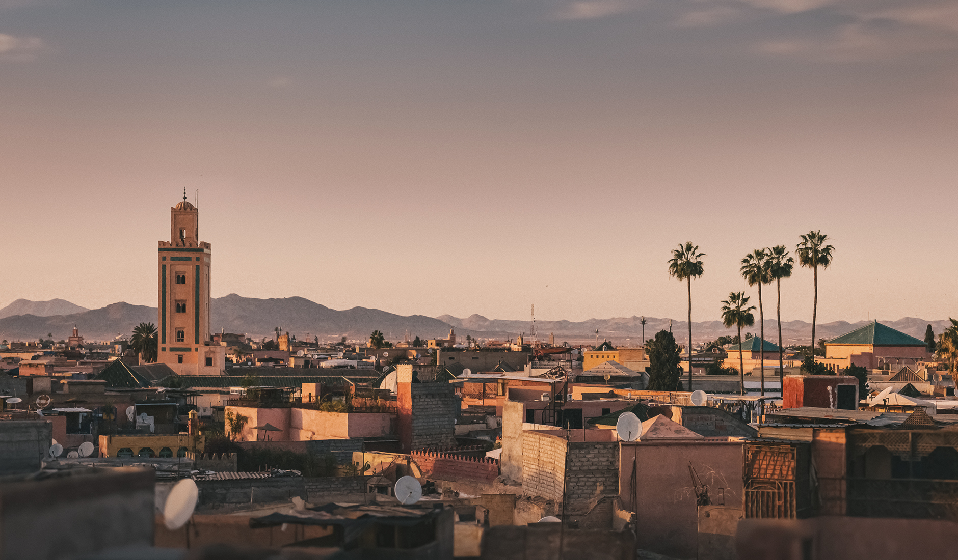 Marrakech Morocco, Old Medina Palmtree Rooftop View