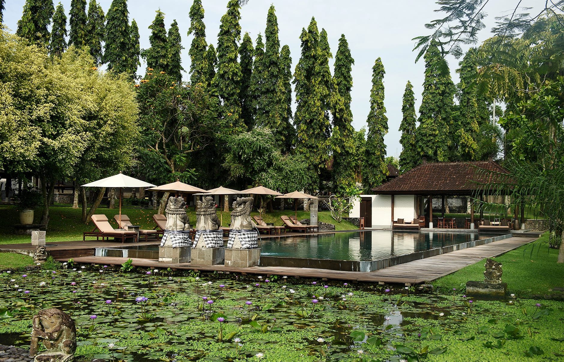 Tanah Gajah, a Resort by Hadiprana, Ubud, Bali. Hotel Review by TravelPlusStyle. Photo © Tanah Gajah 74243553-h1-swimming_pool_with_pond_view