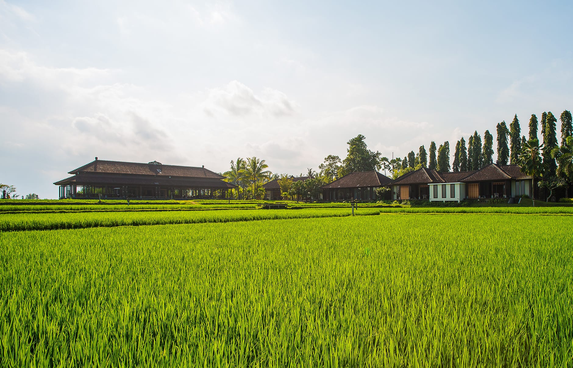 Tanah Gajah, a Resort by Hadiprana, Ubud, Bali. Hotel Review by TravelPlusStyle. Photo © Tanah Gajah 81680262-h1-ctg-overview-outdoor-the-restaurant-and-the-spa