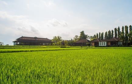 81680262-h1-ctg-overview-outdoor-the-restaurant-and-the-spa