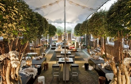 feature-pic-the-dylan-copy-of-covered-secluded-garden-overview