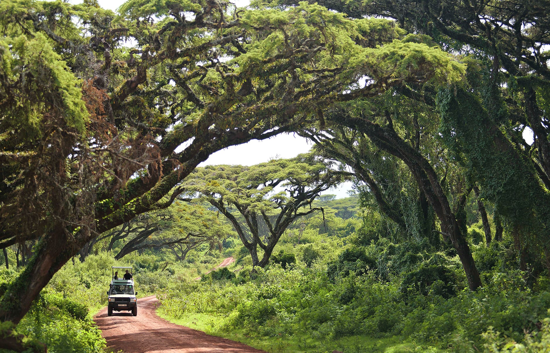 The Highlands Ngorongoro, Tanzania. Hotel Review by TravelPlusStyle. Photo © Asilia Africa