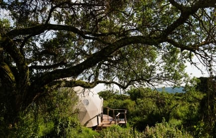 the_highlands_dome_exterior_41