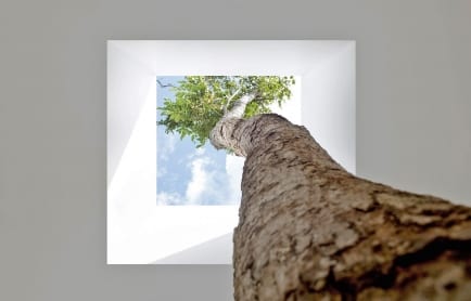 mooool-the-library-koh-samui15