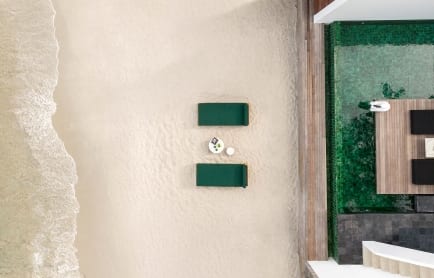 the-library-the-writer-r-12