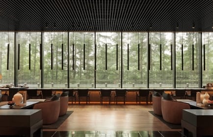 38270070-h1-long_bar_lobby_0