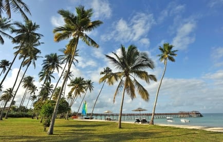 beach-overlooking-the-jetty