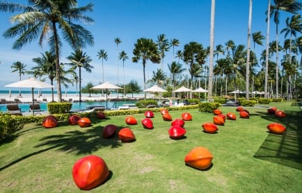 kumari-nahapan-saga-seeds4