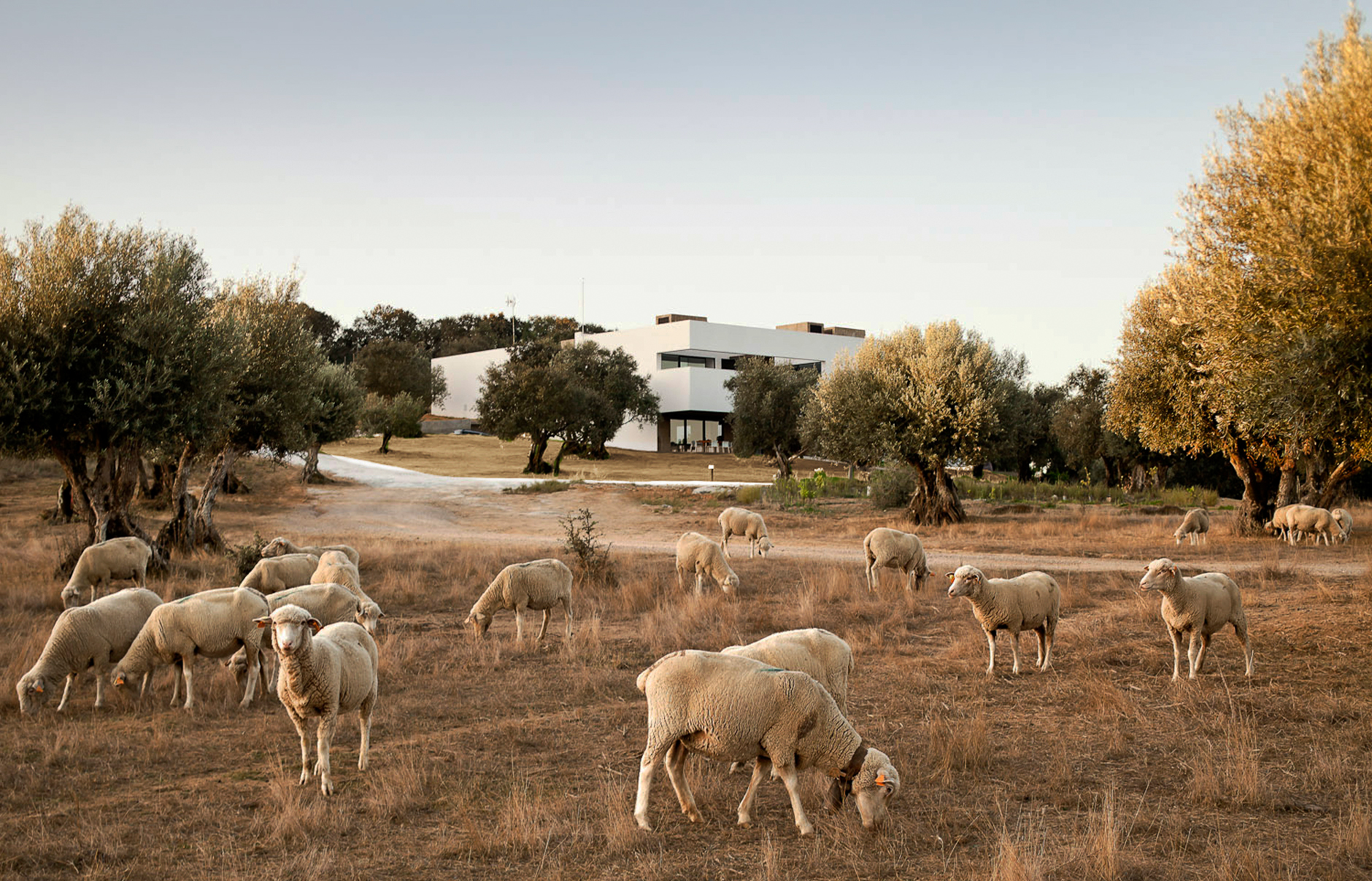 Villa Extramuros, Alentejo, Portugal • TravelPlusStyle.com