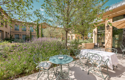 lavandes-chantal-garcin