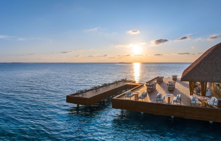 who_mlewh_fish_deck_drone