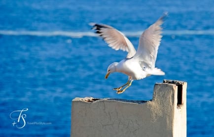 witt-suites-travelplusstyle_13