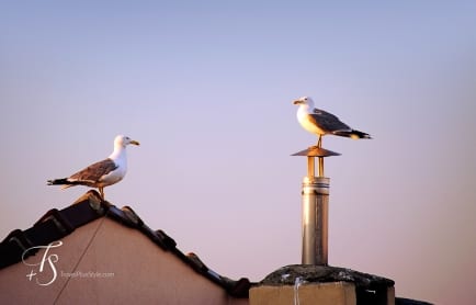 witt-suites-travelplusstyle_27